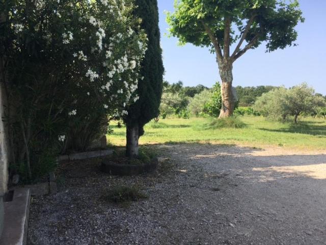 Domaine De Mas Caron Gite 4* Au Pied Du Ventoux En Provence Caromb Luaran gambar